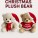 CHRISTMAS BEAR