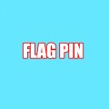 FLAG PIN