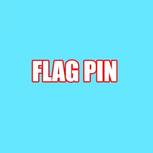 FLAG PIN
