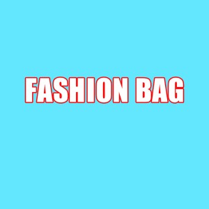 FASHION BAG