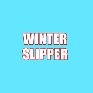 WINTER SLIPPER