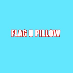 FLAG U PILLOW