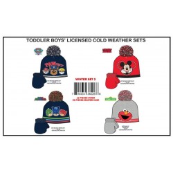 LICENSE WINTER HAT 8DZ/CS