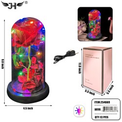 GLASS DOME - 9 GLASS DOME - 9