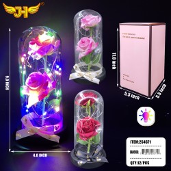 GLASS DOME - 9 GLASS DOME - 9