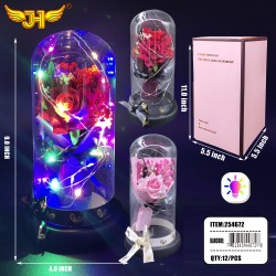 GLASS DOME - 9 GLASS DOME - 9