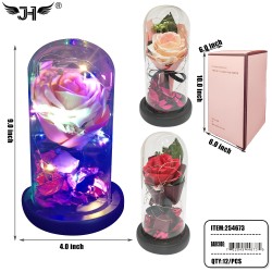 GLASS DOME - 9 GLASS DOME - 9