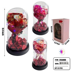 GLASS DOME - 9
