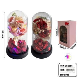 GLASS DOME - 9