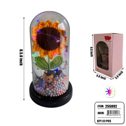 GLASS DOME - 9