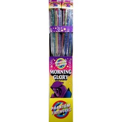 6CT #36 MORNING FLORY BAG 36PK/CS
