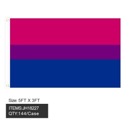 FLAG - 3FTX5FT RAINBOW BIOSEXUAL 6DZ/12DZ/CS