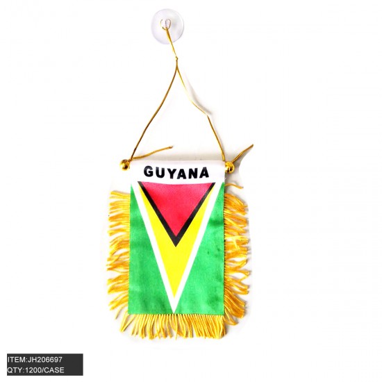 WINDOW HANGING FLAG - GUYANA  8.5