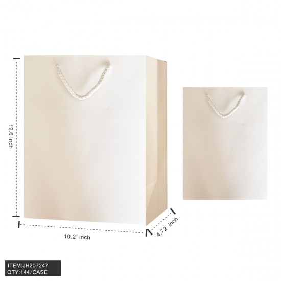 SOLID GIFT BAG - #3 SIZE M WHITE 10