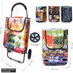 SHOPPING CART - LARGE SIZE FRUIT DESIGN 23