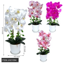 POT ARCHARD FLOWER 21