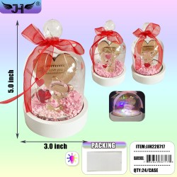 GLASS DOME - LIGHT UP TEDDY BEAR WITH HEART 5