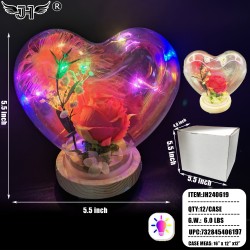 GLASS DOME - LIGHT UP FLOWER HEART STYLE 5.5