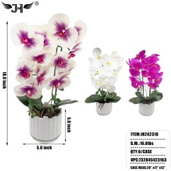 POT FLOWER - ORCHAID 5