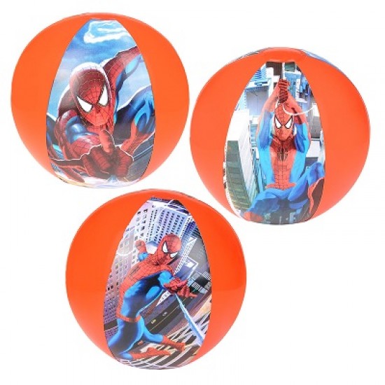 BEACH BALL - 16 BEACH BALL - 16