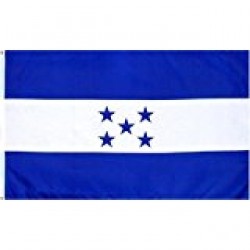 FLAG - 3FTX5FT HONDURAS 12DZ/CS