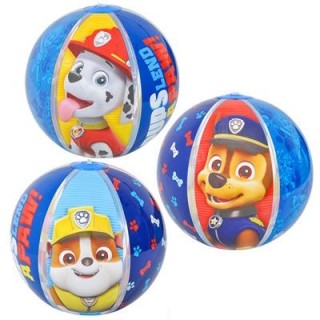 beach ball paw patrol